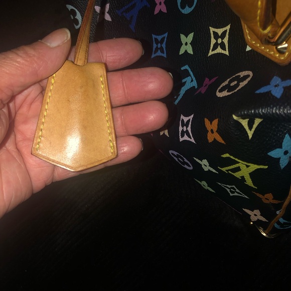 Louis Vuitton multiple color handbag with matching wallet - Picture 12 of 16